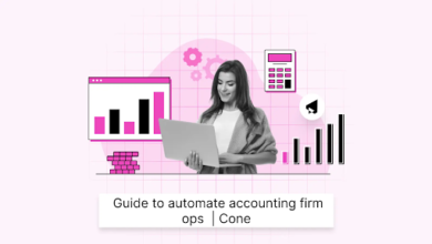 Accounting Practice Management Software